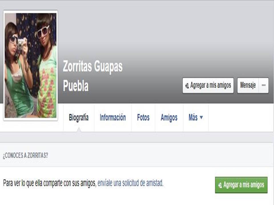 Suspenden sitios de Internet en Puebla por violencia y acoso a mujeres